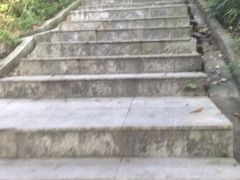 -火炉山森林公园