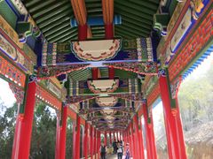 -兰山公园