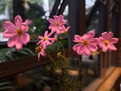 -禅蕴素食生活馆