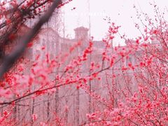 -重庆彩云湖湿地公园