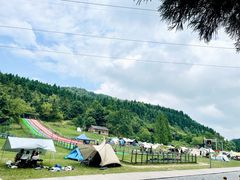 -武陵山森林公园