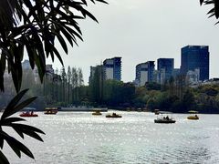 -黄兴公园