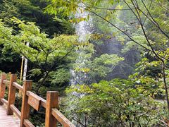 -本溪汤沟绿石谷森林公园