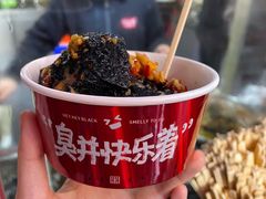 -黑色经典臭豆腐·湖南特产(坡子街店)