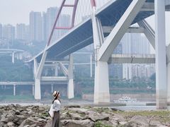 -菜园坝水果市场