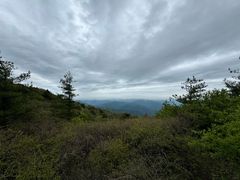 -王顺山国家森林公园