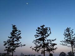 -汉长安城未央宫国家考古遗址公园