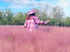 -天津东丽湖风景区