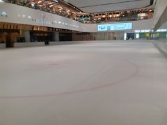 -TheRink大零溜冰场(IFS国金中心店)