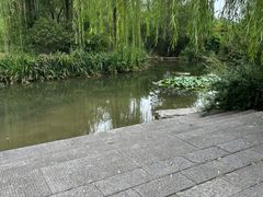 -习家池