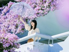 -深圳仙湖植物园-停车场