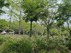 -荔香公园