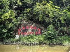 -海南热带雨林国家公园吊罗山景区