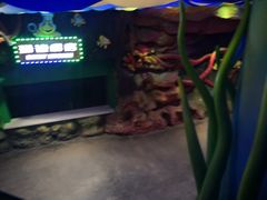 -青岛嘉年华主题乐园