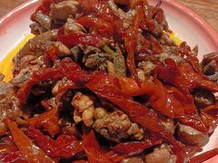 -柴窝堡22号辣子鸡·传承新疆菜