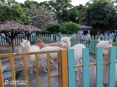 -南丹山森林王国