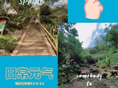 -海口火山口国家地质公园