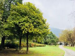 -贵阳市花溪国家城市湿地公园