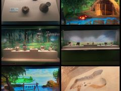 -吉林大学(前卫南区)