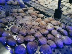 -釜盛海鲜烤肉火锅自助料理(正义坊购物中心店)