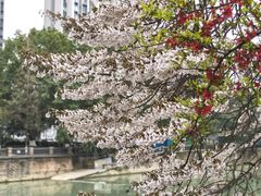 -红星桥(地铁站)