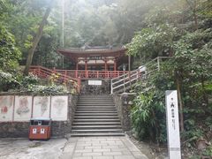 -鼎湖山风景区