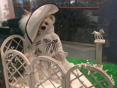 -济州岛泰迪熊博物馆