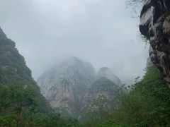 -中原农家乐(中原饭店)