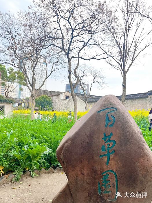 绍兴鲁迅故里·沈园景区图片