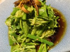 翡翠丝瓜尖-雀蓝川菜(奥体广场店)