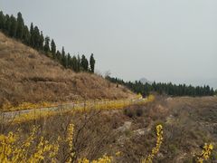 -黄花溪