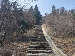 -冶父山国家森林公园