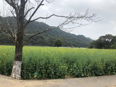 -广州市石门国家森林公园