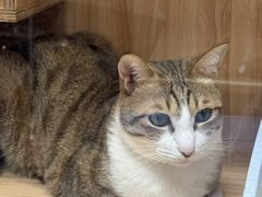 -博特宠物医院24h犬猫全科.骨科·异宠