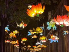 -赤坎·广东华侨国际旅游度假区