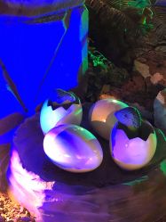 -恐龙探索乐园(磁器口店)