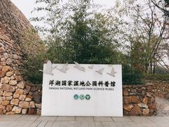 -洋湖国家湿地公园