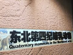 -大庆市博物馆