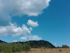 -白草畔自然风景区