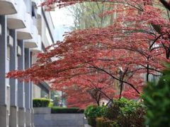 -西安交通大学(雁塔校区)