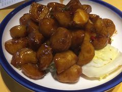 -素虎小呆鸟(西二旗店)