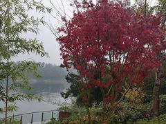 -梅地亚君澜度假酒店俱乐部