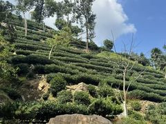-杭州少年儿童公园