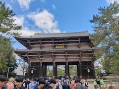 -奈良公园