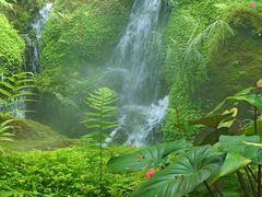 -Chom Cafe and Restaurant