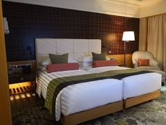 -新加坡文华东方酒店