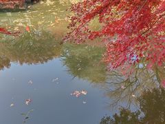 -虞山风景区