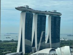 -新加坡泛太平洋酒店