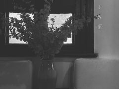 -二楼南书房