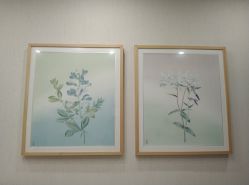 -颜蕾医美·黄金微针·水光·玻尿酸·超声炮·抗衰中心